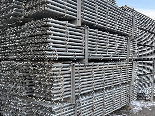 支柱材（ダーウィン）