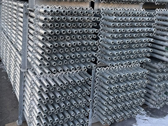 支柱材（ダーウィン）